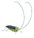 OWI OWI-MSK670 FRIGHTENED GRASSHOPPER JR SCIENCE SERIES