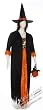 Plus Size Adult Gothic Witch Costume - Womens Full