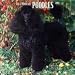   - Toy & Miniature Poodles 2009 Wall Calendar