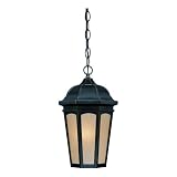 Westinghouse 66845 Village Manor One-Light Exterior Hanging Pendant, Oil Rubbed Bronze with Seeded Linen Globe