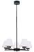 Contemporary Culture 5 light Chandelier