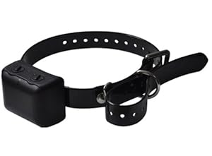 no bark collar