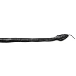 Black Mamba Snake Stuffed Animal Plush Toy 55" L