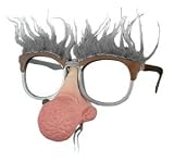 Geezer Nose Hair Glasses Adult (One-Size)