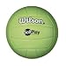 Sporting Goods : Wilson Soft Play Volleyball