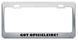 Got Ophicleide? Music Musical Instrument Metal License Plate Frame Holder Border Tag