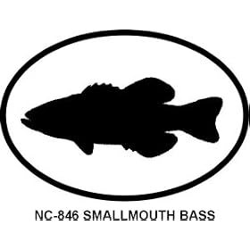 Smallmouth Bass Oval Bumper Sticker