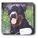 rottweiler17  - Dogs Rottweiler Rottweiler Mouse Pads