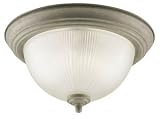 Westinghouse 6436100 2 Light Flush Mount Ceiling Light