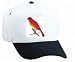 Search : White Cap with Pennsylvania, Philadelphia, nest, beak, wings, branch, perch, bird