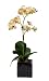 Artificial 17" Mini Phalaenopsis Orchid, Green