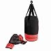 Suchen : Hudora 74206 Punch Boxsackset, 4 kg