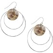 925 Silver Hoop Earrings with Shell Detail