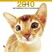 2010年度版 THE CAT カレンダー アビシニアン