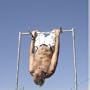 All-in-one Stand Alone Pull up Bar