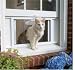 Pet Supplies : Cat Windoor