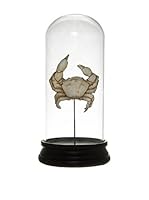 COINCASA Elemento Decorativo