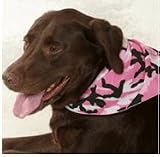 Assorted Fashion N Fun 5 Pack PetDannas Dog Bandanna ... Medium