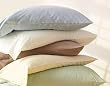 Organic Cotton Pillowcases - King (White)