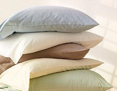 Organic Cotton Sheet Set - Twin (Sky Blue)