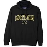 Michigan Team Edition Pedigree Hoody - Men's