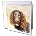 Dogs Boykin Spaniel - Boykin Spaniel - Greeting Cards-12 Greeting Cards with envelopes