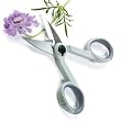 Norpro My Favorite Kitchen Scissors NEW