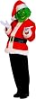 Adult Grinch Costume