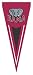 Alabama Crimson Tide Yard Pennants 34x14 NCAA College Athletics Fan Shop Sports Team Merchandise