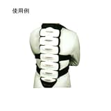 PRO TEC(プロテック) IPS-Sugar Zulu Back Pad(バック パッド) Black/Gray/Red S IPS-SZBP-S