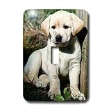 Dogs Labrador Retriever - Cute Yellow Lab Puppy - Light Switch Covers - single toggle switch