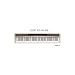 CASIO �d�q�s�A�mPrivia(�v�����B�A)PX-120DK