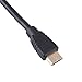 AUCHOIS Eachbid 1FT High Speed Data Transmission HDMI to Mini HDMI Cable Male to Male for HDTV Camcorder Laptop