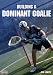 Jon Lantzy: Building a Dominant Goalie (DVD)