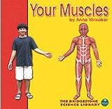 COUGHLAN PUBLISHING/CAPSTONE PUB CPB0736833544 YOUR MUSCLES
