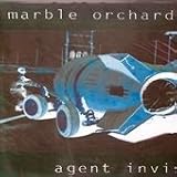 Agent Invisible