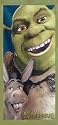 Kids Shrek 2 beach towel
