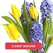 Flowers - One Of A Kind