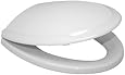 TOTO SS224#01 Guinevere SoftClose Elongated Toilet Seat, Cotton White