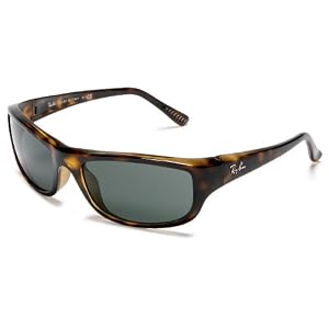 Ray-Ban RB4119 Sunglasses