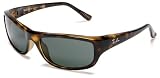Ray-Ban RB4119 Sunglasses
