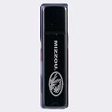 Univ Of Michigan 1GB