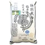 23年産新米 特別栽培米 減農薬 コシヒカリ 5kg 玄米
