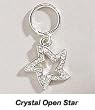 CRYSTAL STAR - Dazzling Dog Collar Charm