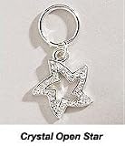 CRYSTAL STAR - Dazzling Dog Collar Charm