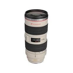 CanonEF70-200mmf/2.8LISUSMTelephotoZoomLensforCanonSLRCameras