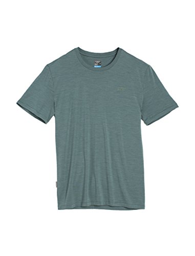 Icebreaker Men's Sphere Short Sleeve Crewe Tee, Canoe Heather, XX-Large