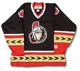 Ottawa Senators Hockey Premium Pet Jersey (Large)