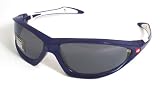 North Face Dome Pack Blue & White Sport Sunglasses 035S-0084