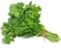 Cilantro Certified Organic Heirloom Seeds 200 Seeds